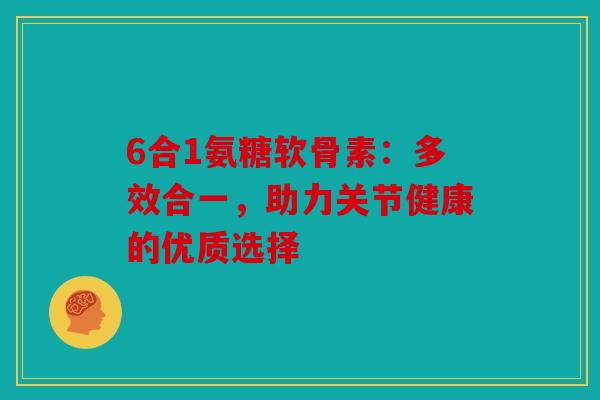 6合1氨糖软骨素：多效合一，助力关节健康的优质选择