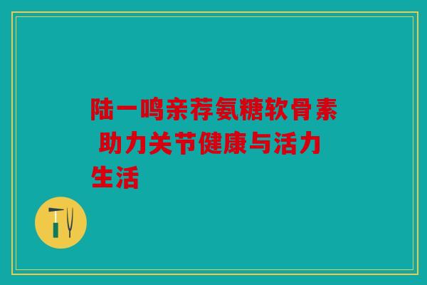 陆一鸣亲荐氨糖软骨素 助力关节健康与活力生活