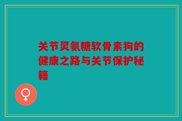 关节灵氨糖软骨素狗的健康之路与关节保护秘籍