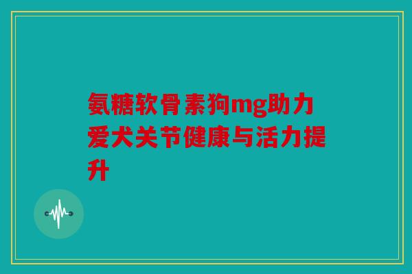 氨糖软骨素狗mg助力爱犬关节健康与活力提升