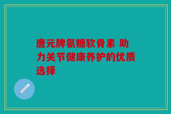 唐元牌氨糖软骨素 助力关节健康养护的优质选择