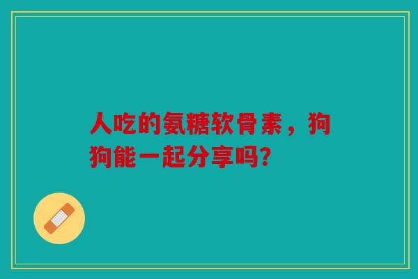 人吃的氨糖软骨素，狗狗能一起分享吗？