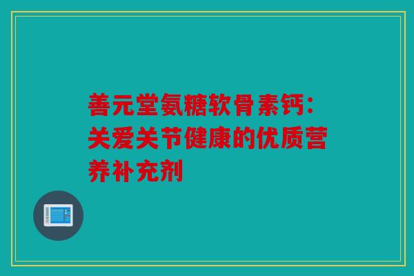 善元堂氨糖软骨素钙：关爱关节健康的优质营养补充剂