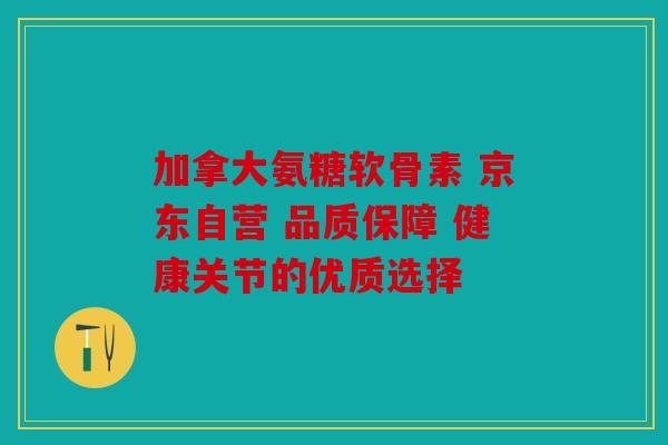 加拿大氨糖软骨素 京东自营 品质保障 健康关节的优质选择