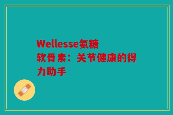 Wellesse氨糖软骨素：关节健康的得力助手