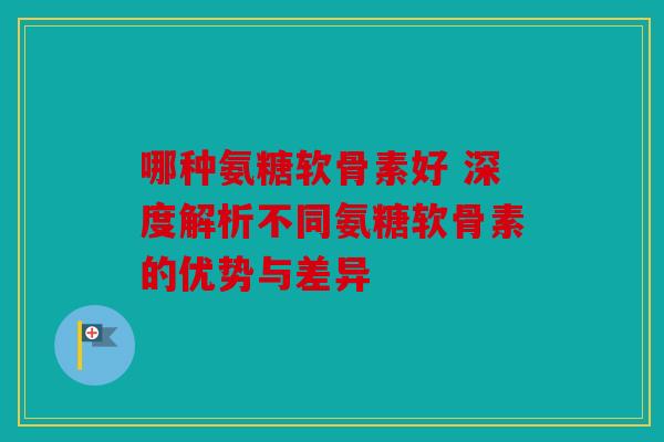 哪种氨糖软骨素好 深度解析不同氨糖软骨素的优势与差异