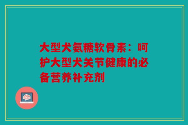 大型犬氨糖软骨素：呵护大型犬关节健康的必备营养补充剂