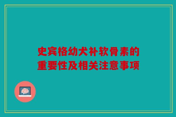 史宾格幼犬补软骨素的重要性及相关注意事项