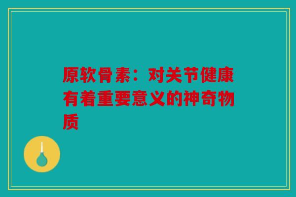 原软骨素：对关节健康有着重要意义的神奇物质