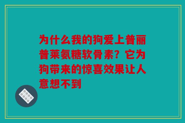 为什么我的狗爱上普丽普莱氨糖软骨素？它为狗带来的惊喜效果让人意想不到