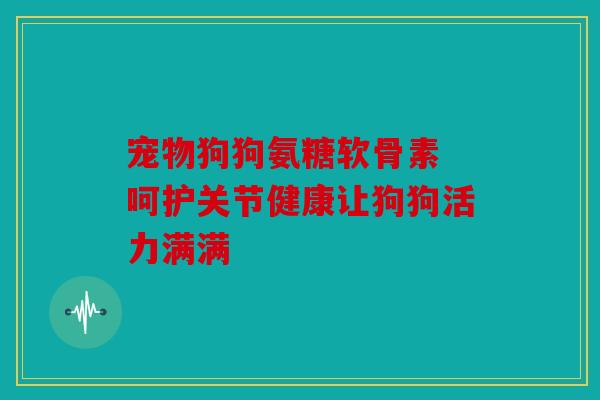 宠物狗狗氨糖软骨素 呵护关节健康让狗狗活力满满