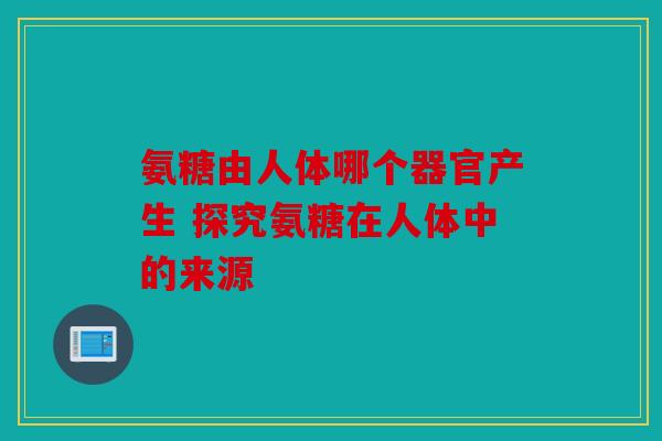 氨糖由人体哪个器官产生 探究氨糖在人体中的来源