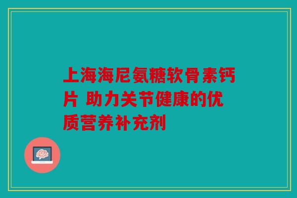 上海海尼氨糖软骨素钙片 助力关节健康的优质营养补充剂