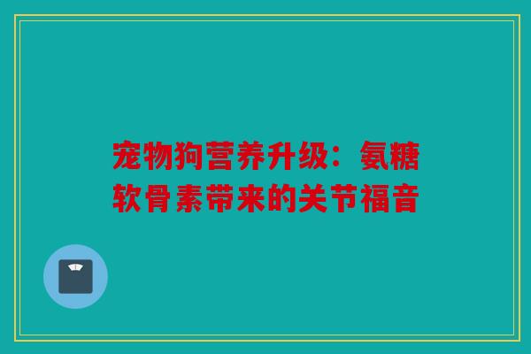 宠物狗营养升级：氨糖软骨素带来的关节福音