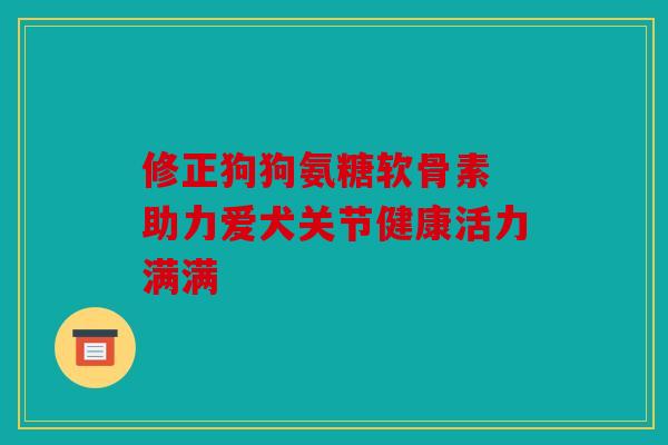 修正狗狗氨糖软骨素 助力爱犬关节健康活力满满