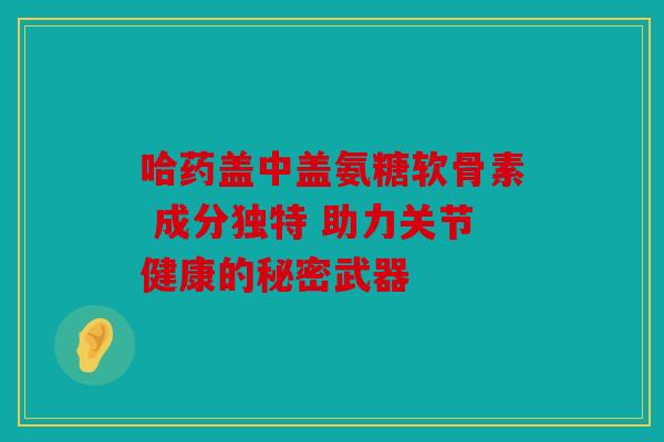 哈药盖中盖氨糖软骨素 成分独特 助力关节健康的秘密武器