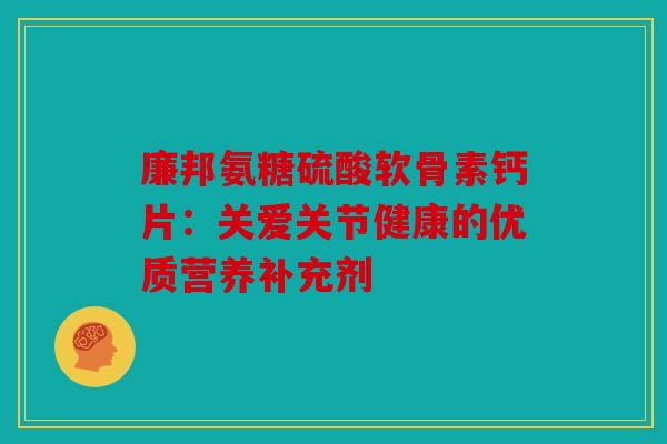 廉邦氨糖硫酸软骨素钙片：关爱关节健康的优质营养补充剂