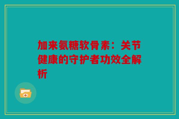 加来氨糖软骨素：关节健康的守护者功效全解析