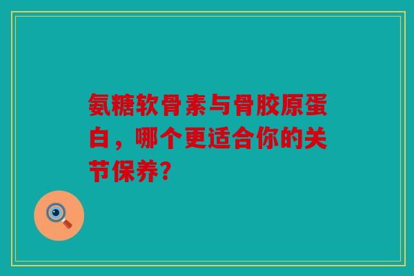 氨糖软骨素与骨胶原蛋白，哪个更适合你的关节保养？