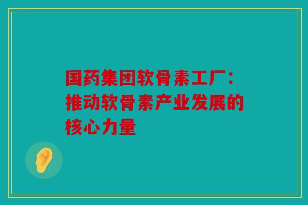 国药集团软骨素工厂：推动软骨素产业发展的核心力量