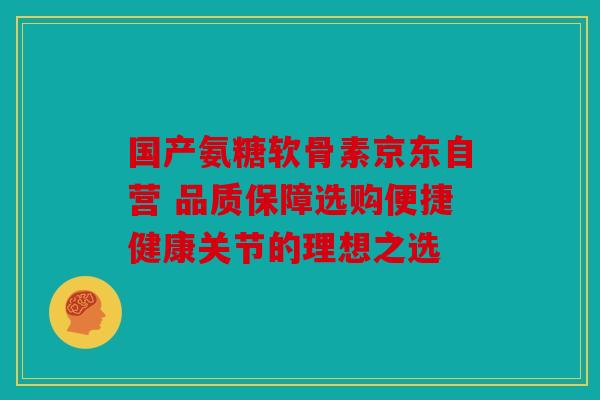 国产氨糖软骨素京东自营 品质保障选购便捷健康关节的理想之选