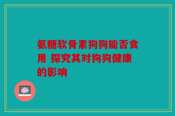 氨糖软骨素狗狗能否食用 探究其对狗狗健康的影响