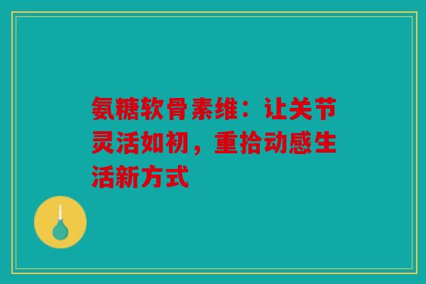 氨糖软骨素维：让关节灵活如初，重拾动感生活新方式