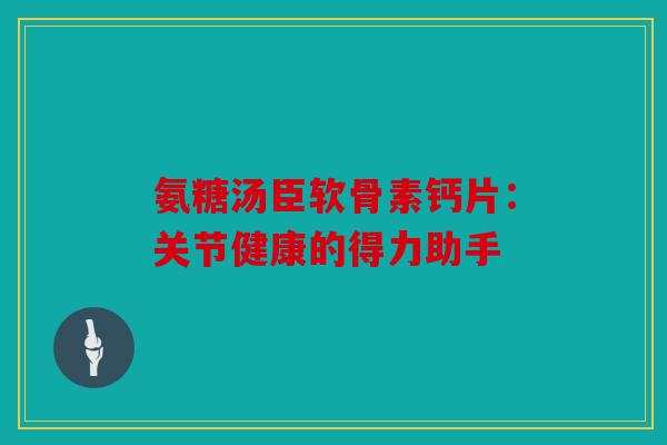 氨糖汤臣软骨素钙片：关节健康的得力助手