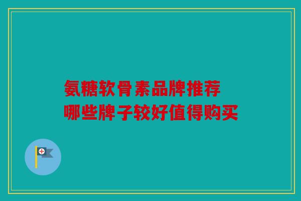 氨糖软骨素品牌推荐 哪些牌子较好值得购买