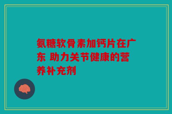 氨糖软骨素加钙片在广东 助力关节健康的营养补充剂