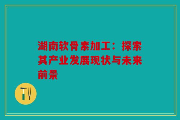 湖南软骨素加工：探索其产业发展现状与未来前景