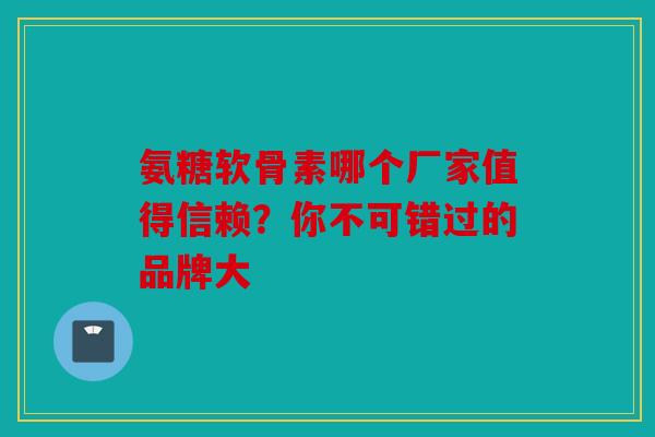 氨糖软骨素哪个厂家值得信赖？你不可错过的品牌大