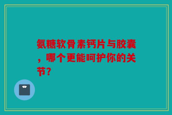 氨糖软骨素钙片与胶囊，哪个更能呵护你的关节？