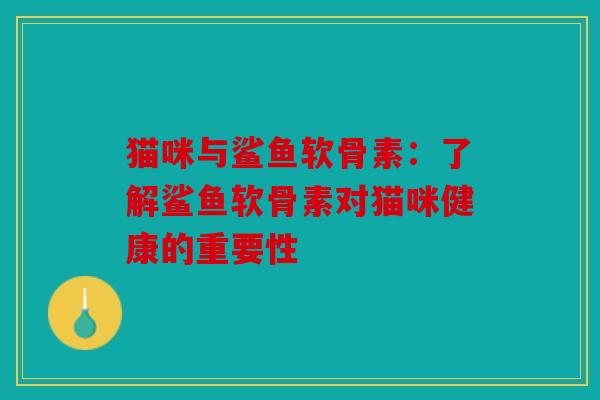 猫咪与鲨鱼软骨素：了解鲨鱼软骨素对猫咪健康的重要性