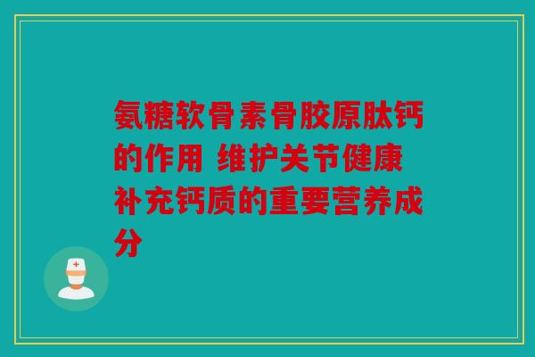 氨糖软骨素骨胶原肽钙的作用 维护关节健康补充钙质的重要营养成分