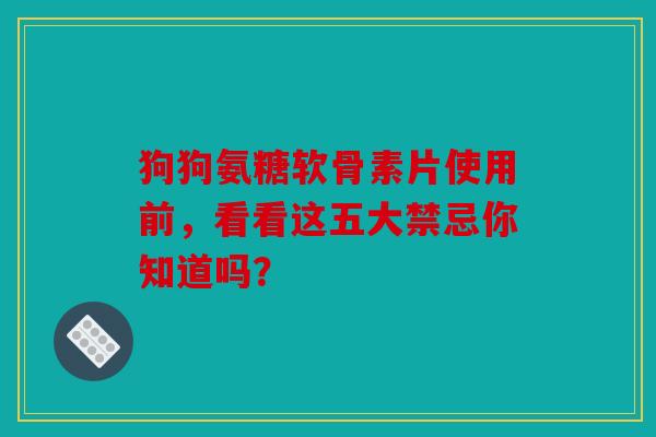 狗狗氨糖软骨素片使用前，看看这五大禁忌你知道吗？