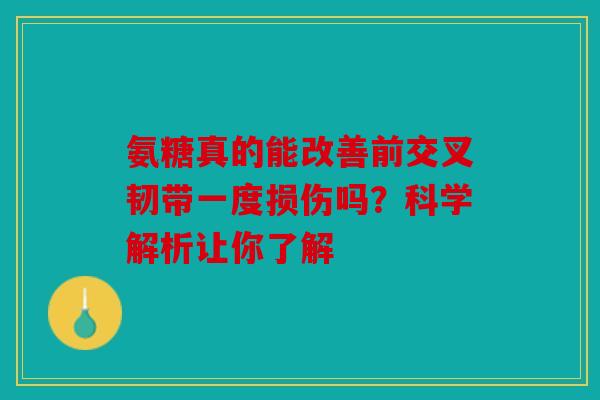 氨糖真的能改善前交叉韧带一度损伤吗？科学解析让你了解