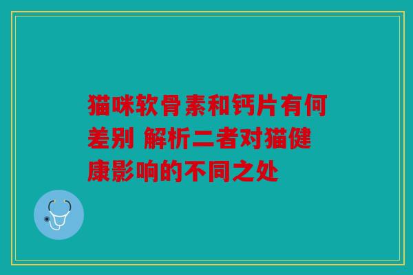 猫咪软骨素和钙片有何差别 解析二者对猫健康影响的不同之处