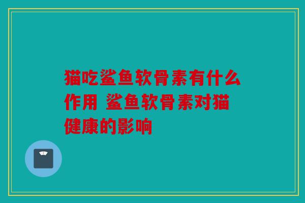 猫吃鲨鱼软骨素有什么作用 鲨鱼软骨素对猫健康的影响