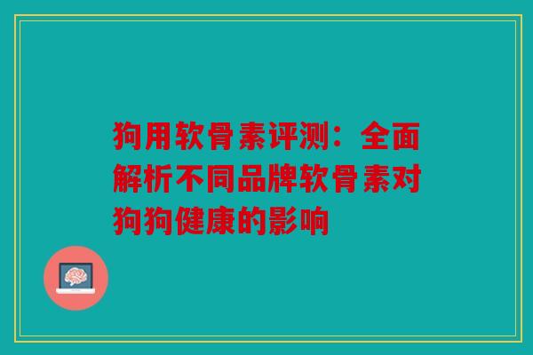 狗用软骨素评测：全面解析不同品牌软骨素对狗狗健康的影响