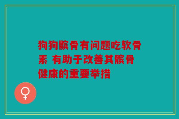 狗狗髌骨有问题吃软骨素 有助于改善其髌骨健康的重要举措