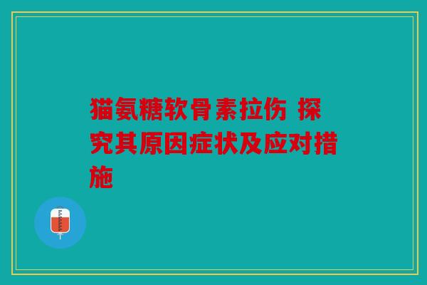 猫氨糖软骨素拉伤 探究其原因症状及应对措施