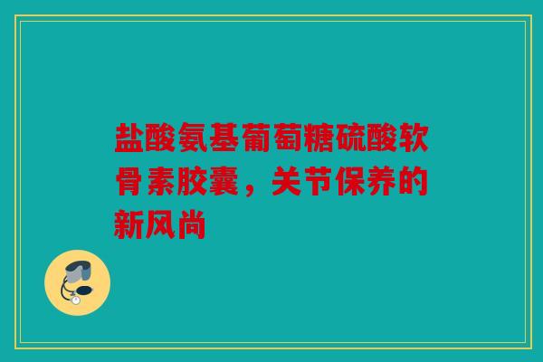 盐酸氨基葡萄糖硫酸软骨素胶囊，关节保养的新风尚