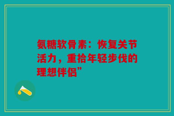 氨糖软骨素：恢复关节活力，重拾年轻步伐的理想伴侣”