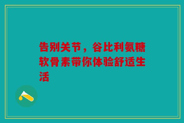 告别关节，谷比利氨糖软骨素带你体验舒适生活