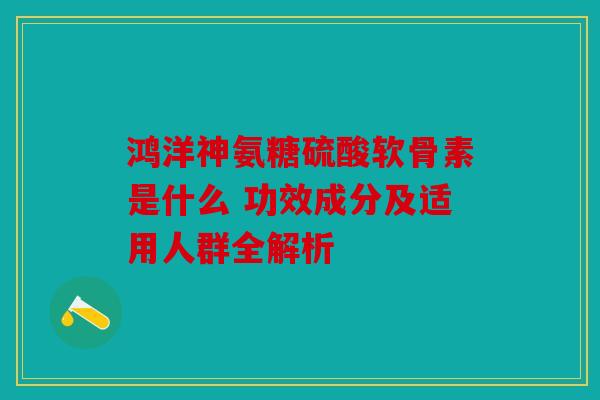鸿洋神氨糖硫酸软骨素是什么 功效成分及适用人群全解析