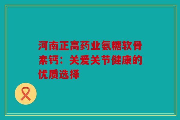 河南正高药业氨糖软骨素钙：关爱关节健康的优质选择